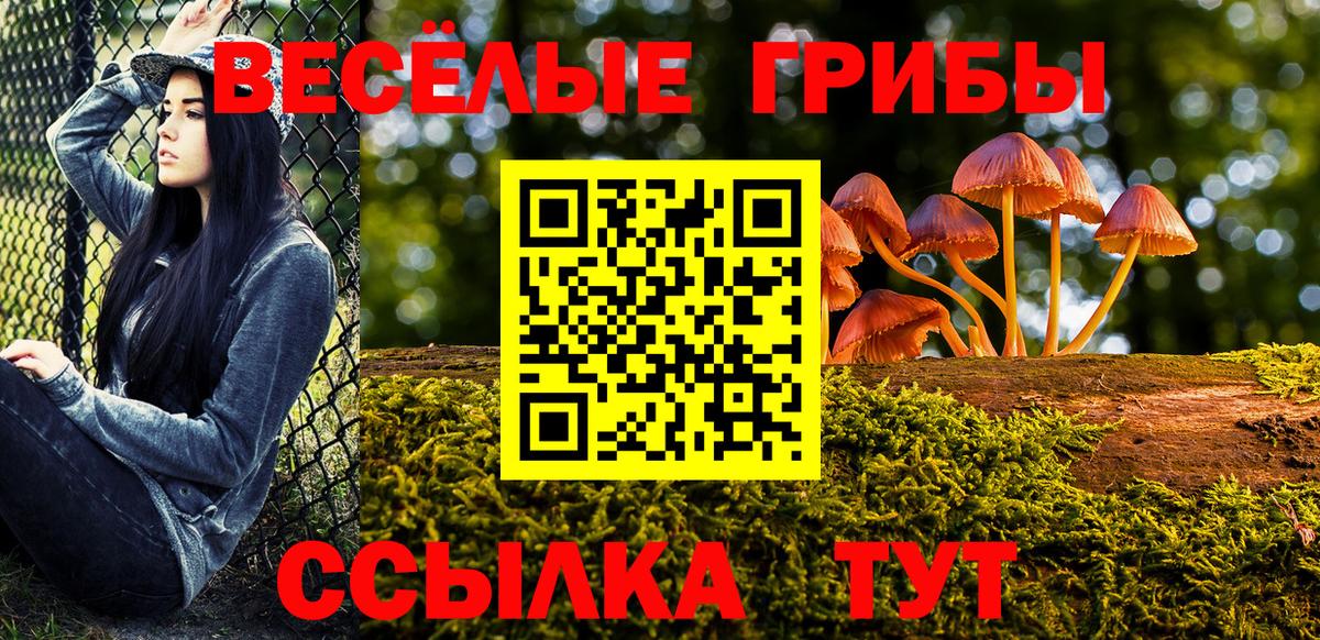 цены   Псилоцибиновые грибы ЛСД  Вход с VPN  Нурлат 