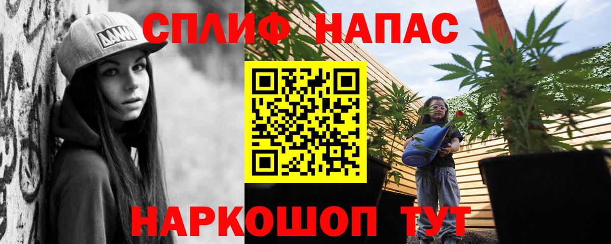 Каннабис планчик Нурлат